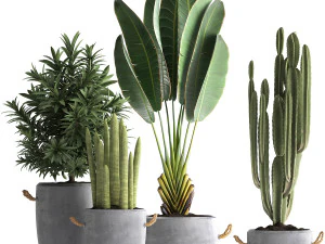 egzotik bitkilerin toplanması 434 3D Model