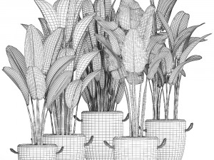 exotic plants banana tree set 435 Model 3D