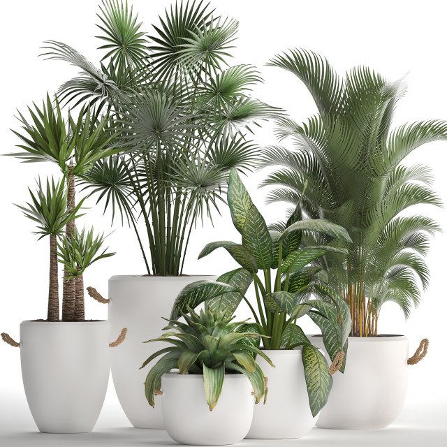 collection of exotic plants 436 Modelo 3D .c4d .max .obj .3ds .fbx .stl .blend 