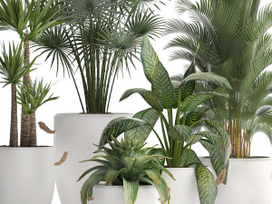 collection of exotic plants 436 Modelo 3D