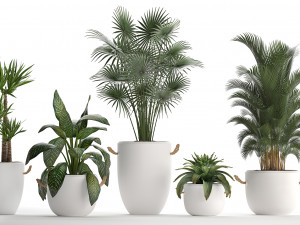 collection of exotic plants 436 Modelo 3D