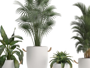 collection of exotic plants 436 Modelo 3D