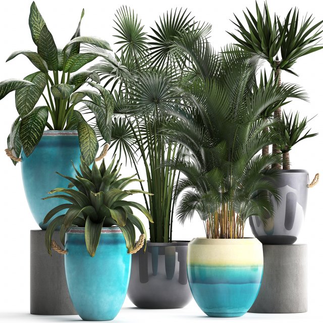 collection of exotic plants Modelo 3D .c4d .max .obj .3ds .fbx .stl .blend 