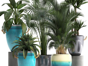 collection of exotic plants 3D Model
