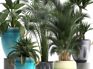 collection of exotic plants Modelo 3D