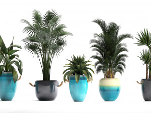 collection of exotic plants Modelo 3D