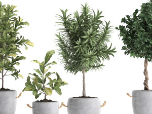 collection of exotic plants trees 437 3D Model