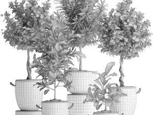 collection of exotic plants trees 437 3D Model