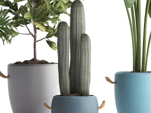 collection of exotic plants 439 3D Model