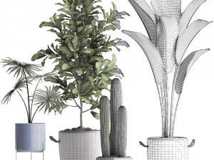 collection of exotic plants 439 3D Model