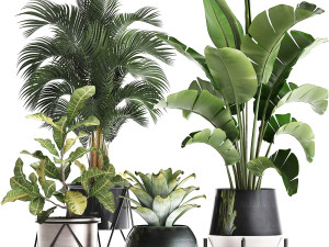 a collection of decorative plants in pots for home 441 3D Model