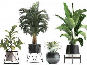 a collection of decorative plants in pots for home 441 3D Model