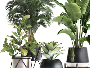 a collection of decorative plants in pots for home 441 3D Model