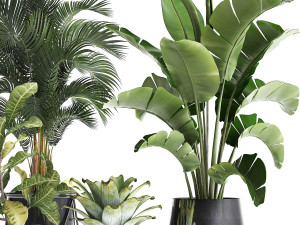 a collection of decorative plants in pots for home 441 Model 3D