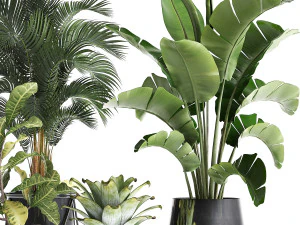 a collection of decorative plants in pots for home 441 3D Model