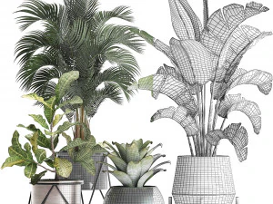 a collection of decorative plants in pots for home 441 3D Model