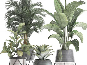 a collection of decorative plants in pots for home 441 3D Model