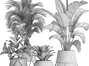 a collection of decorative plants in pots for home 441 3D Model