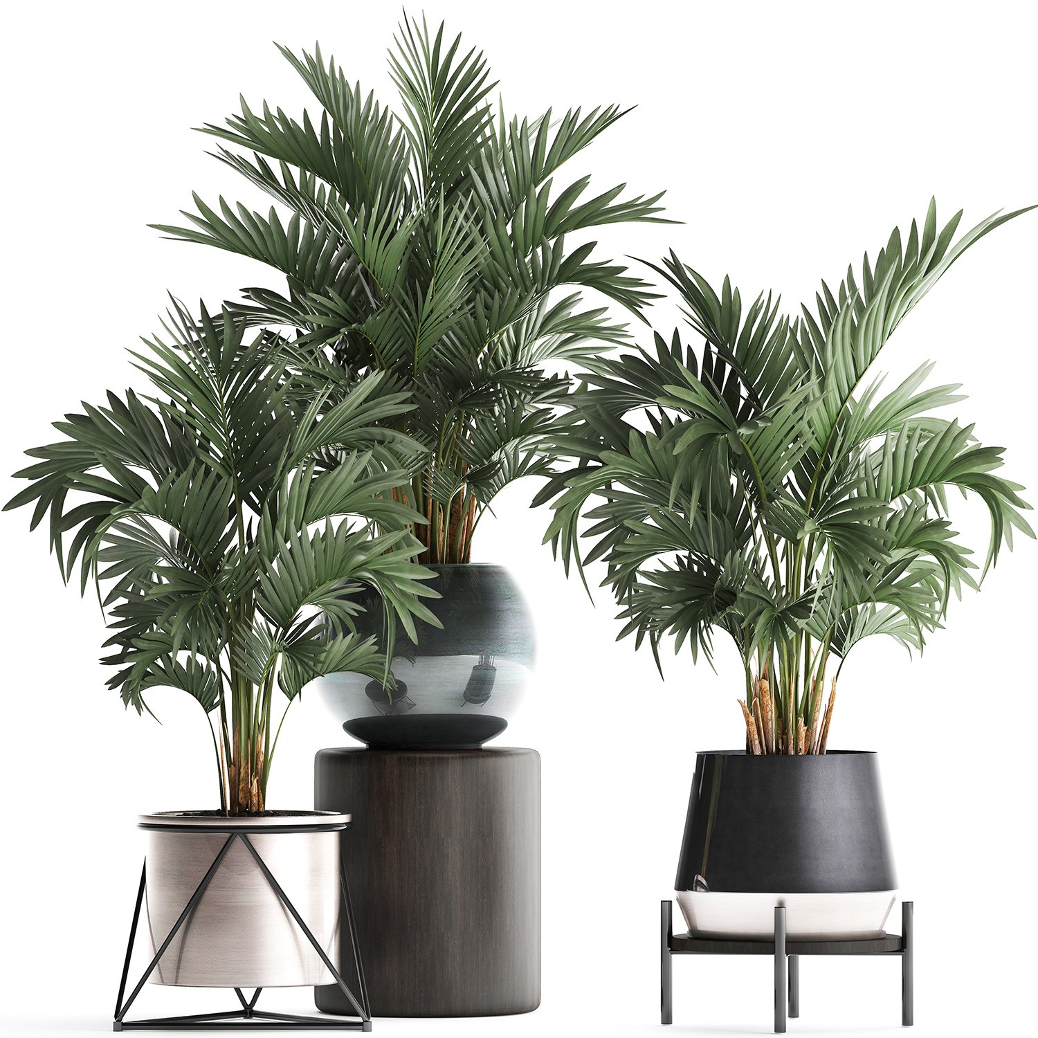 Collection Of Decorative Palm Trees In Pots For Home 422 3d Model In