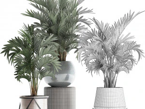 collection of decorative palm trees in pots for home 422 3D Model