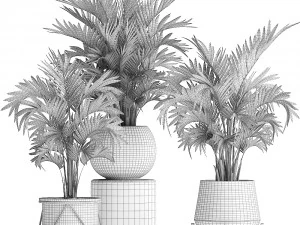 collection of decorative palm trees in pots for home 422 3D Model