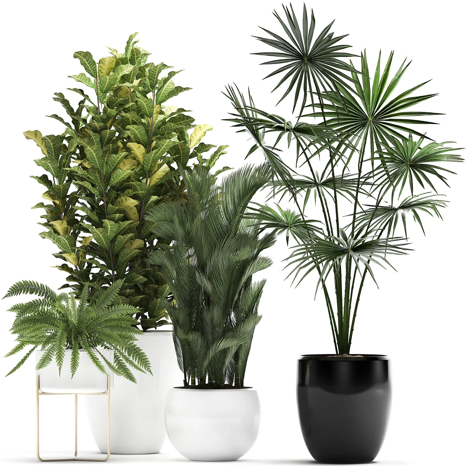 collection of decorative plants trees in pots for home 423 3D Model .c4d .max .obj .3ds .fbx .stl .blend