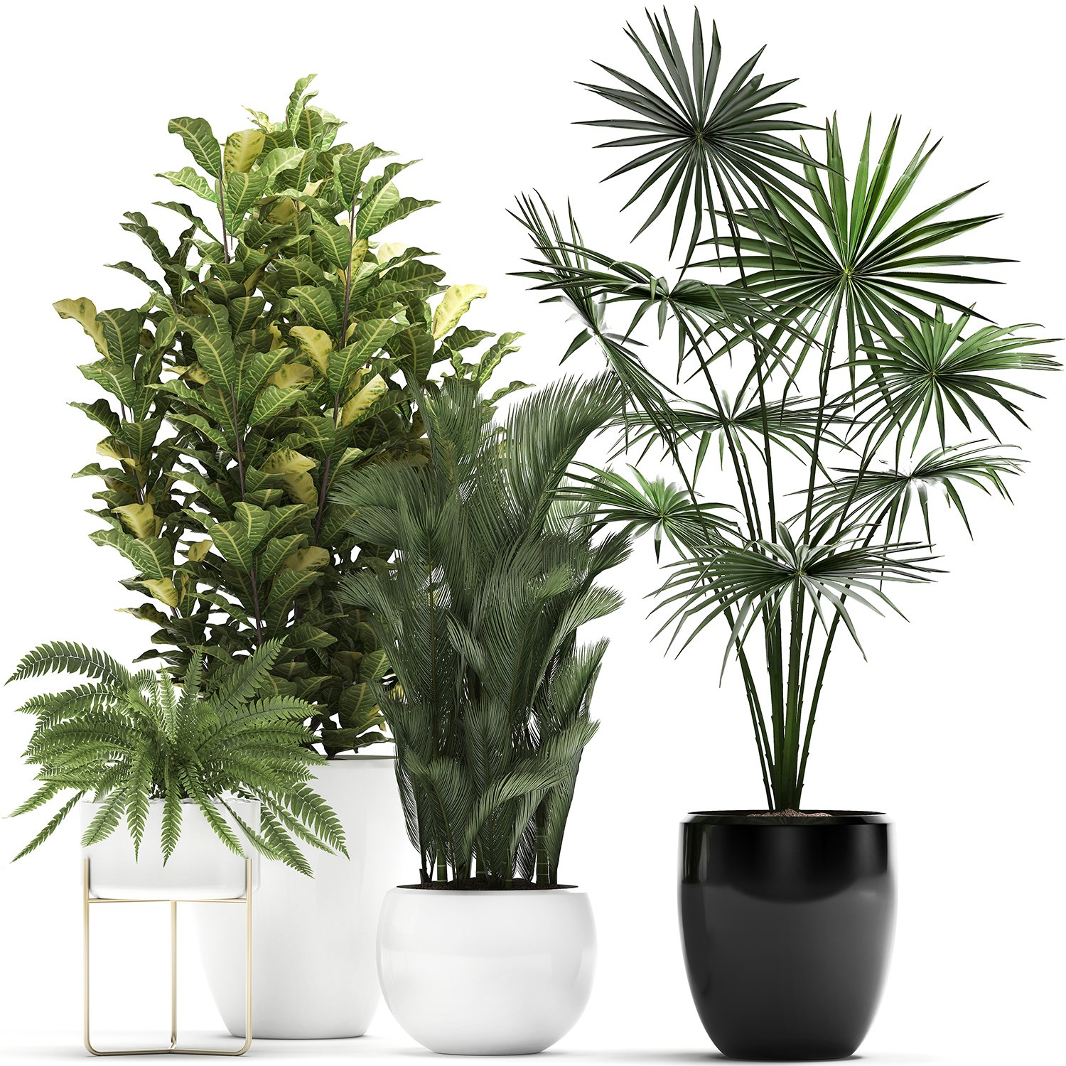 Collection Of Decorative Plants Trees In Pots For Home 423 3d Model