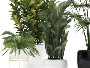 collection of decorative plants trees in pots for home 423 3D Model
