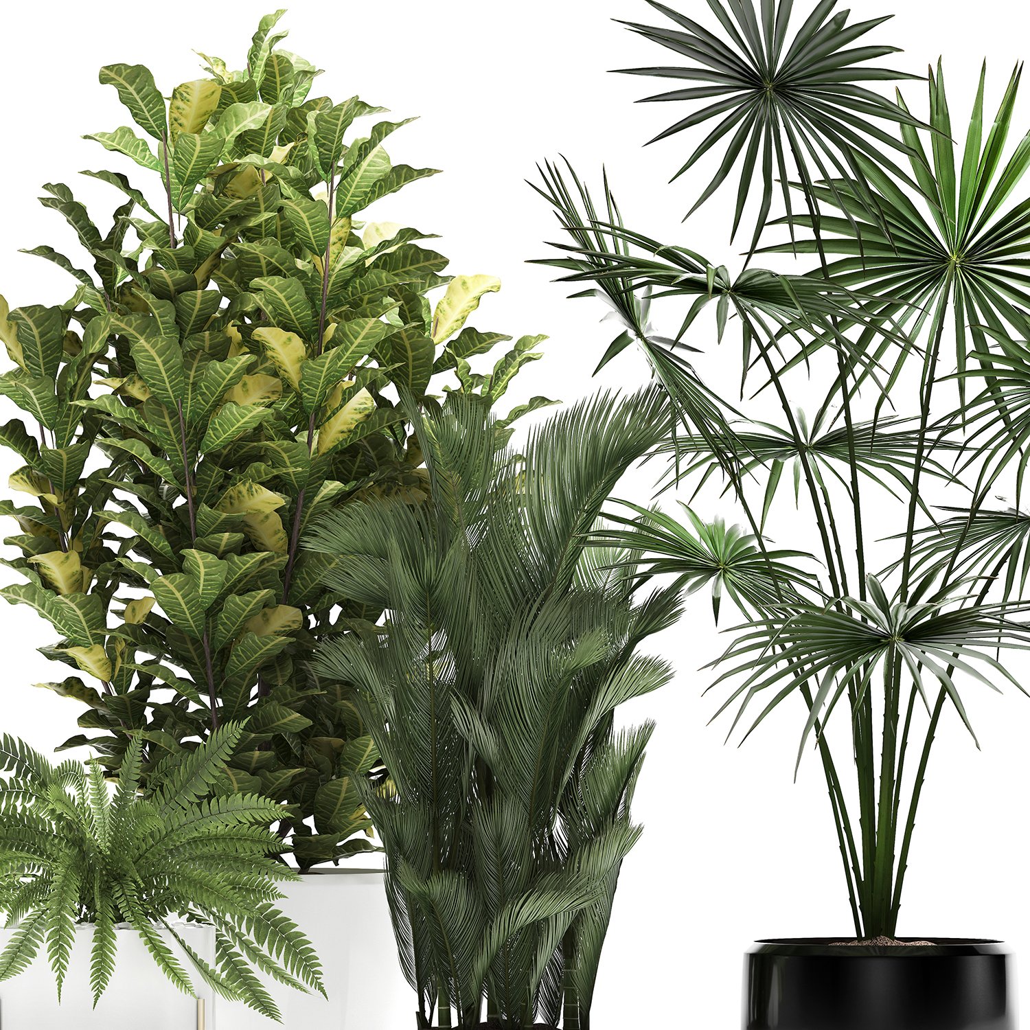 Collection Of Decorative Plants Trees In Pots For Home 423 3d