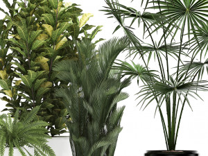 collection of decorative plants trees in pots for home 423 3D Model