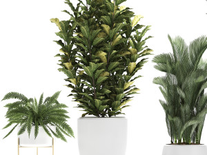 collection of decorative plants trees in pots for home 423 3D Model