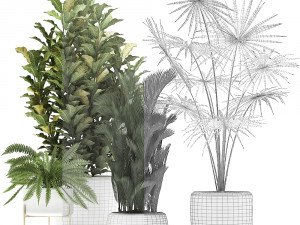 collection of decorative plants trees in pots for home 423 3D Model
