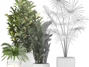 collection of decorative plants trees in pots for home 423 3D Model