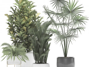 collection of decorative plants trees in pots for home 423 3D Model