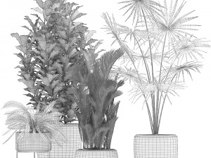 collection of decorative plants trees in pots for home 423 3D Model