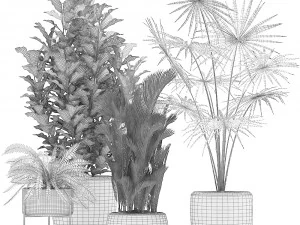 collection of decorative plants trees in pots for home 423 3D Model