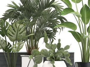 collection exotic plants in a pot 448 3D Model