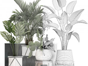 collection exotic plants in a pot 448 Modelo 3D