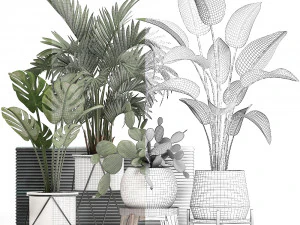 collection exotic plants in a pot 448 3D Model