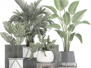 collection exotic plants in a pot 448 Modelo 3D
