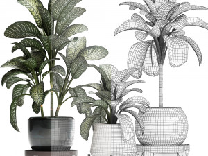 dieffenbachia in a pot 452 Modelo 3D