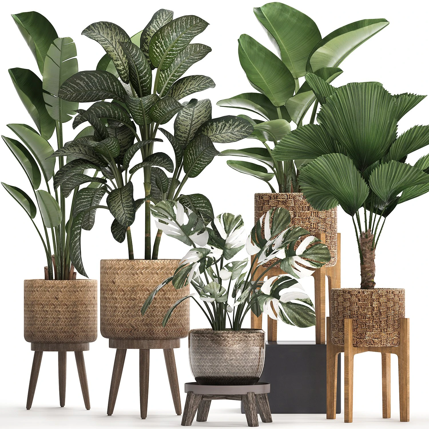 collection of decorative plants in pots for home 454 3D Model .c4d .max .obj .3ds .fbx .stl .blend 