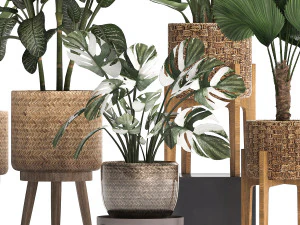 collection of decorative plants in pots for home 454 3D Model