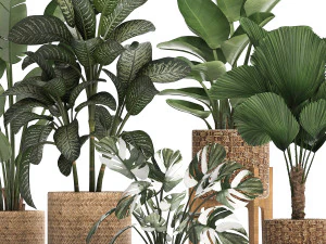 collection of decorative plants in pots for home 454 3D Model