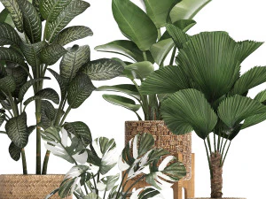 collection of decorative plants in pots for home 454 3D Model