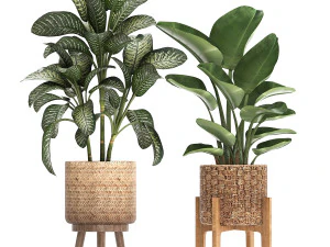collection of decorative plants in pots for home 454 3D Model