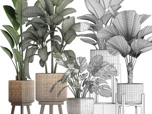 collection of decorative plants in pots for home 454 Model 3D
