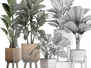 collection of decorative plants in pots for home 454 3D Model