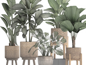collection of decorative plants in pots for home 454 Model 3D