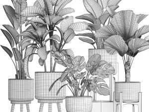 collection of decorative plants in pots for home 454 3D Model